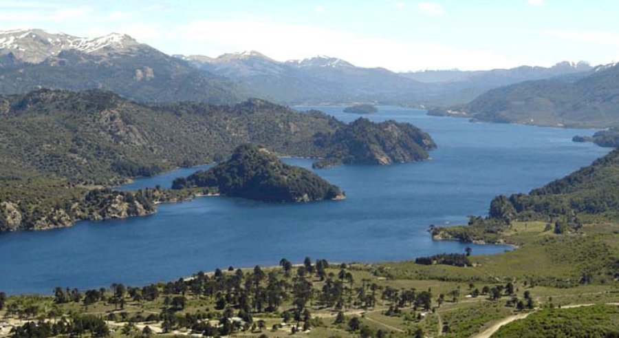 Pehuenia en la provincia de Neuquén
